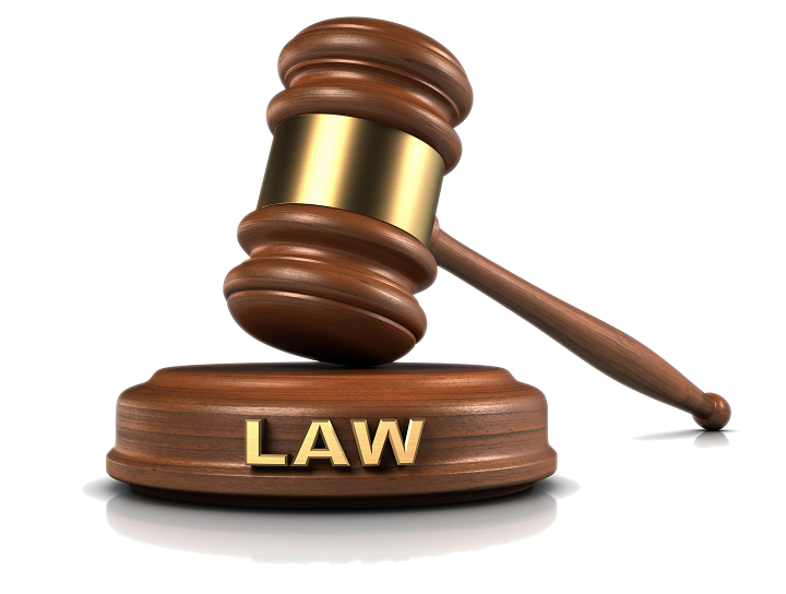 PROFESSIONAL BACHELOR OF PUBLIC LAW